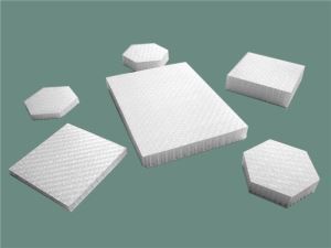 High Strength Composite Sandwich Panel