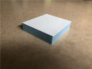 Nsulated Sandwich Panel fyrir kælt líkama